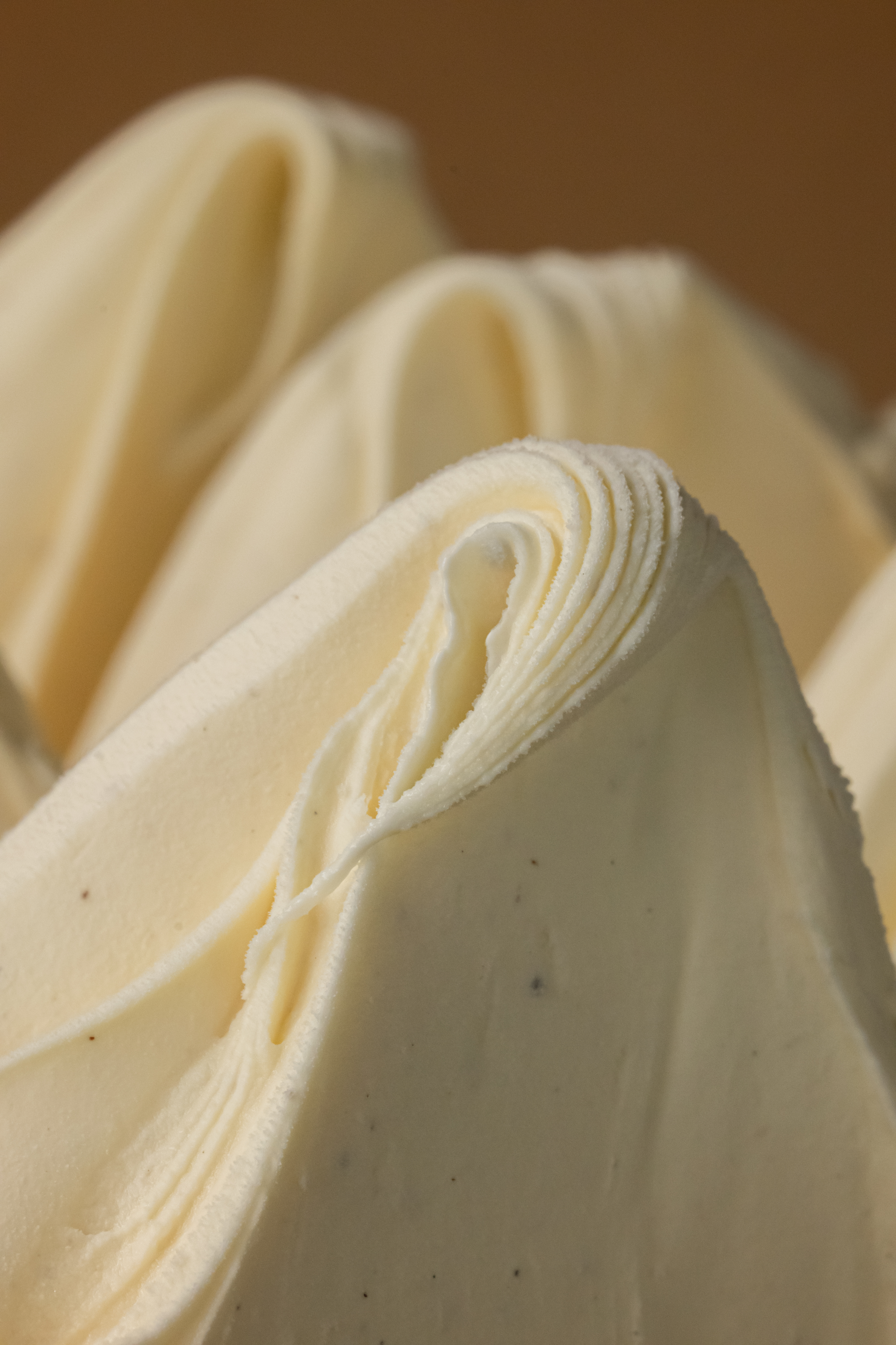 Vanille | Vaniglia Paste Excellence