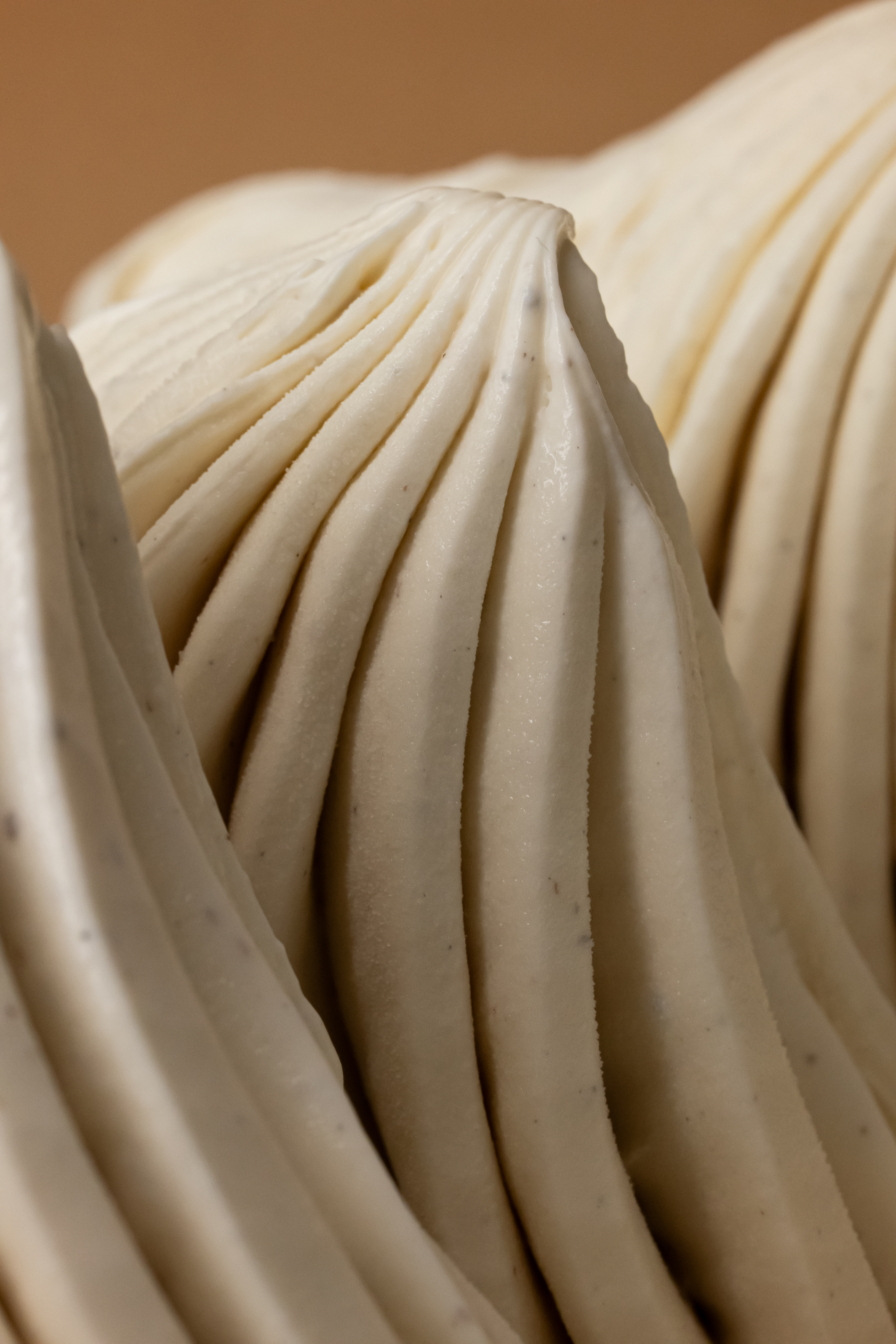 Vanille Bourbon Paste