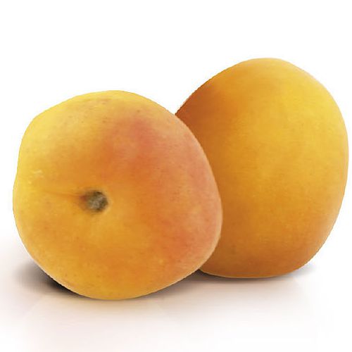 Aprikose | Albicocca Stracciatella | Variegato