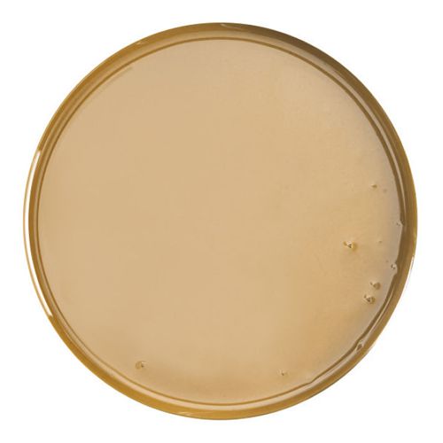 @ Nougat 'Torrone' Paste grob