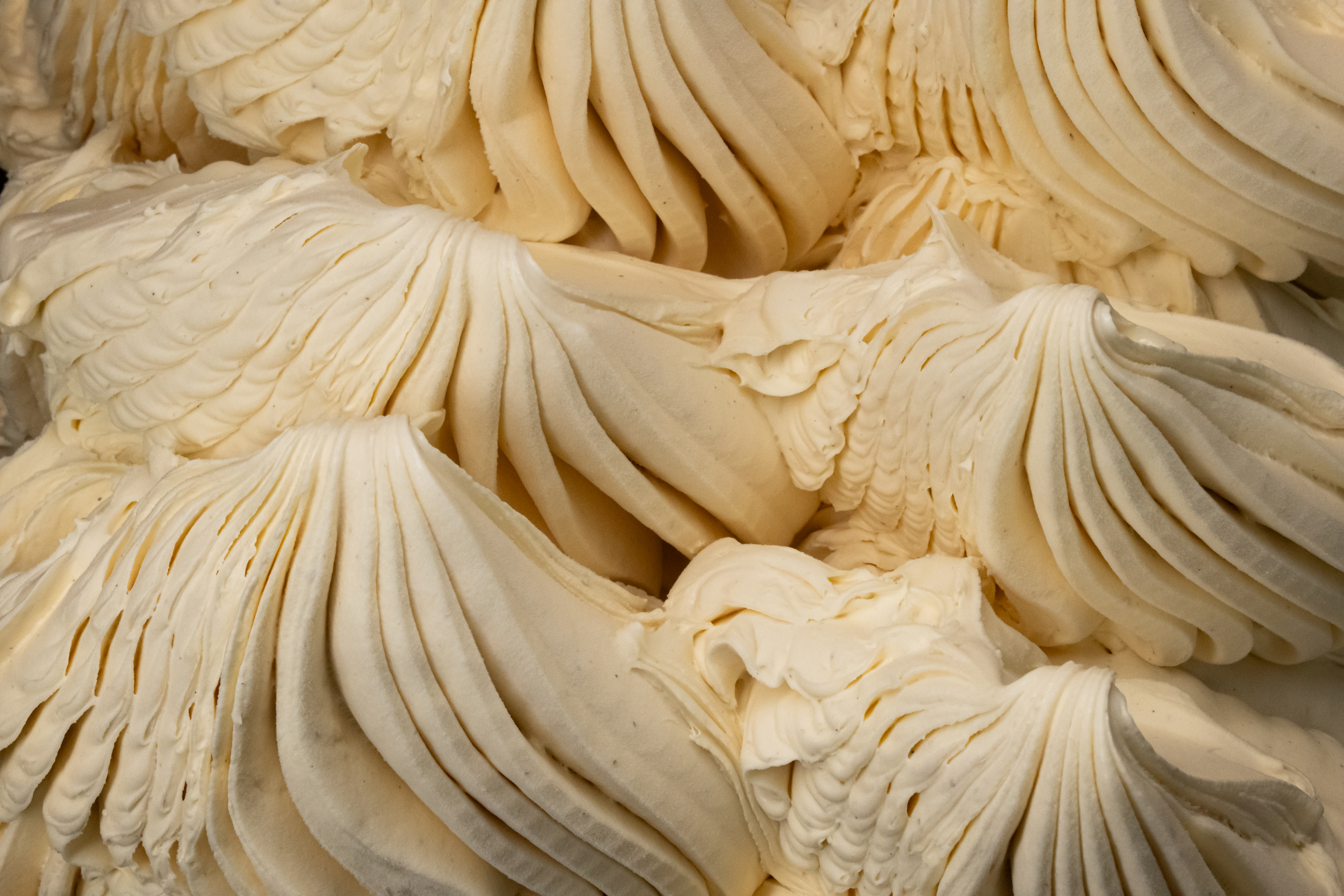 Vanille | Vaniglia Paste Excellence