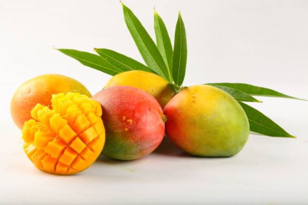 BIO Mango Püree | Paste 100%