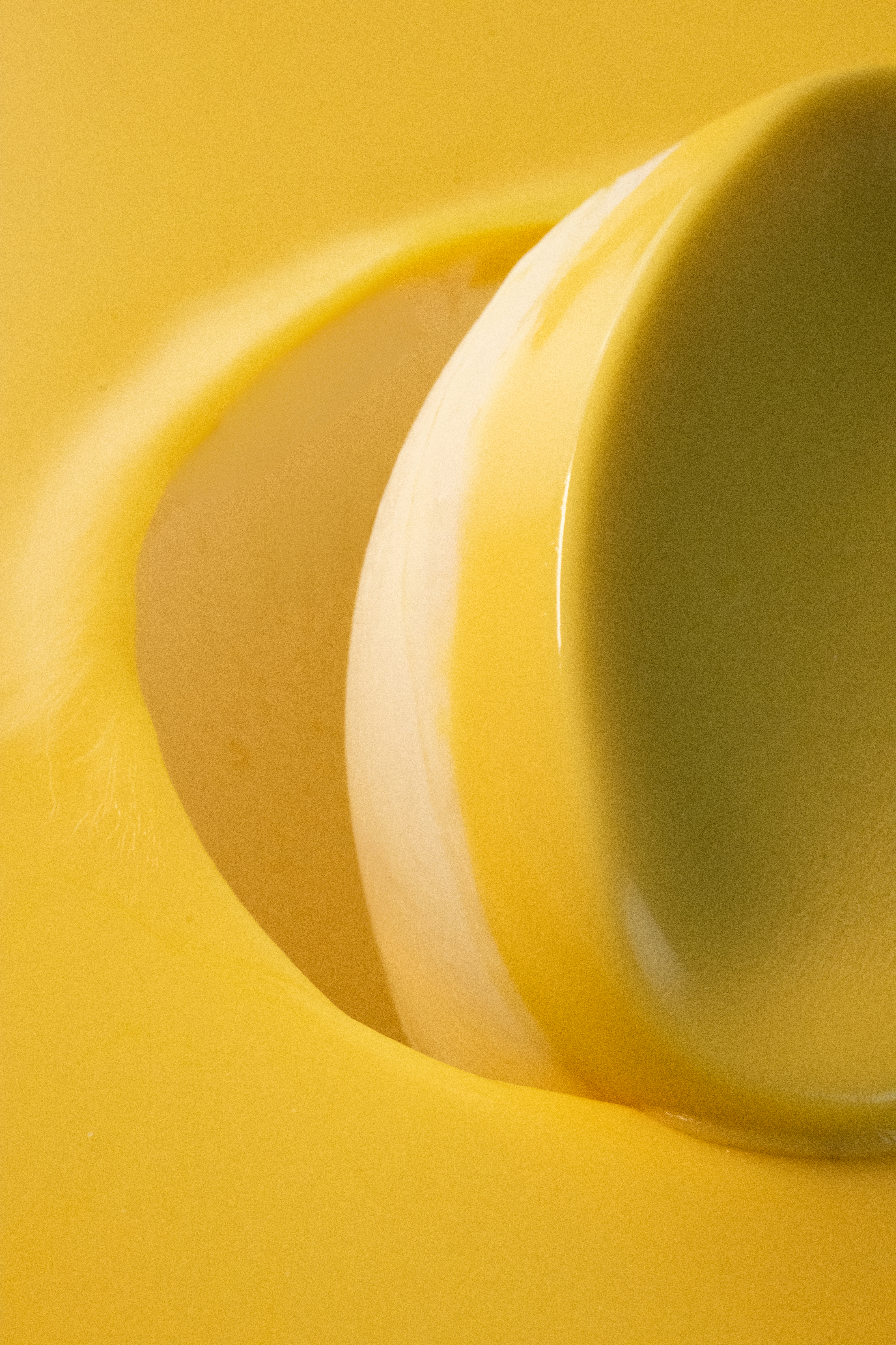 Zitrone |  'Limone Deliziosa' Variegato