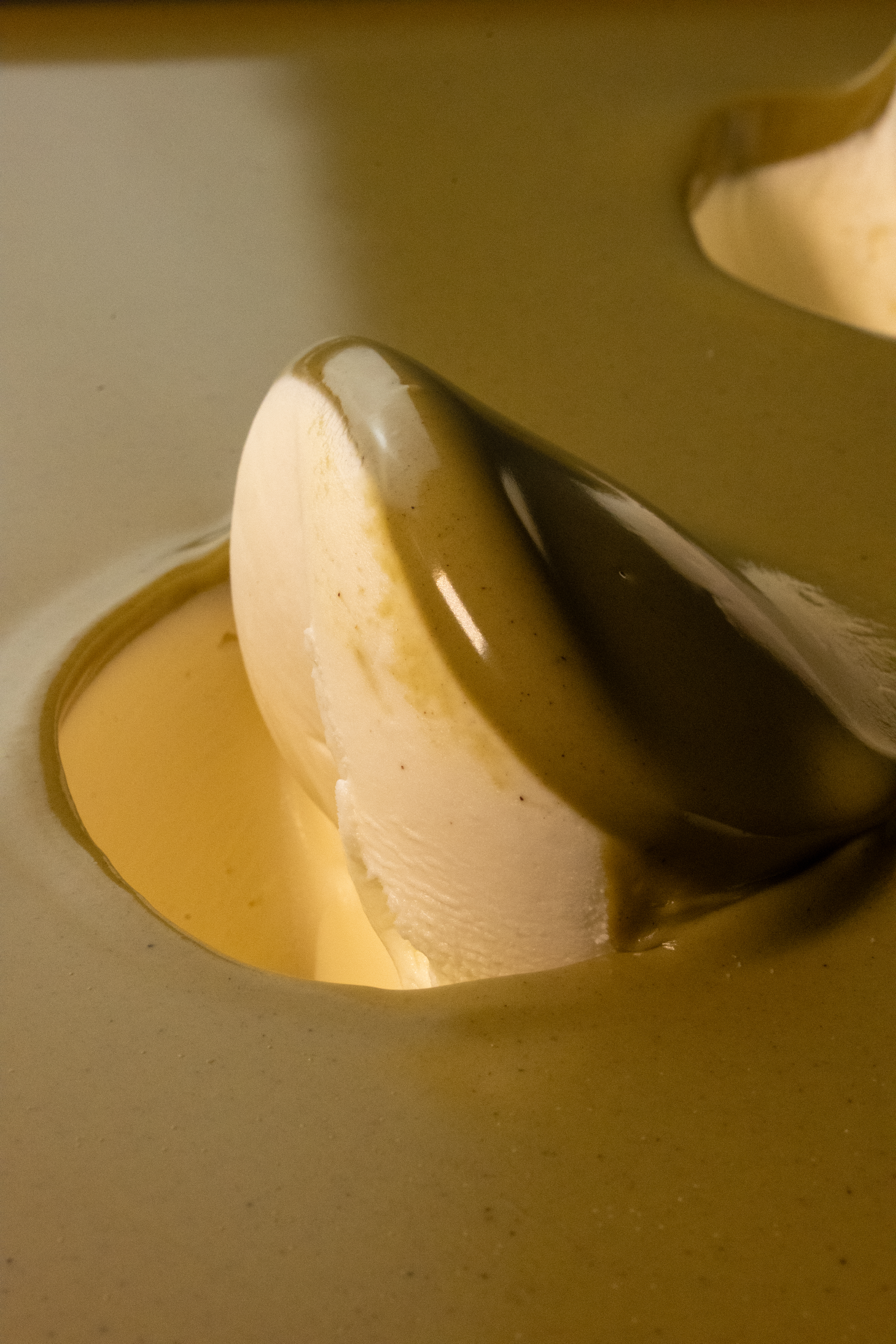 Pistazie | Pistacchio 'Deliziosa' Variegato