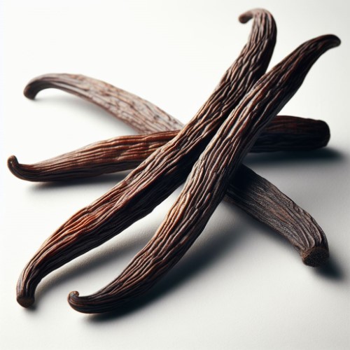 BIO Bourbon Vanille gemahlen