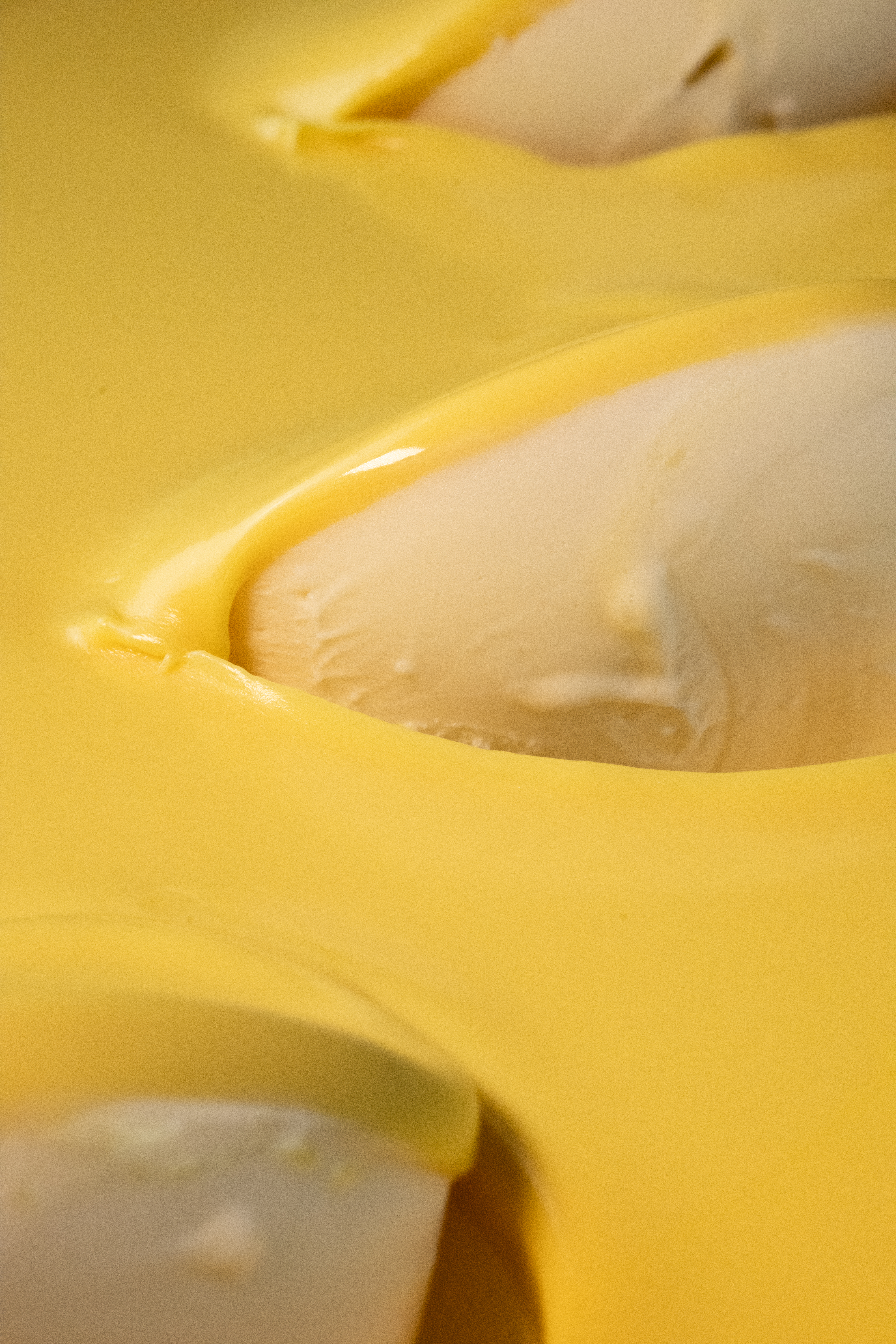 Zitrone |  'Limone Deliziosa' Variegato